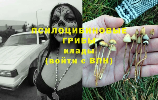бутират Аркадак