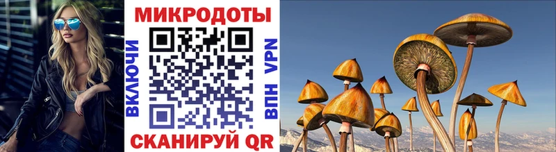 Псилоцибиновые грибы Psilocybine cubensis закладка Советский